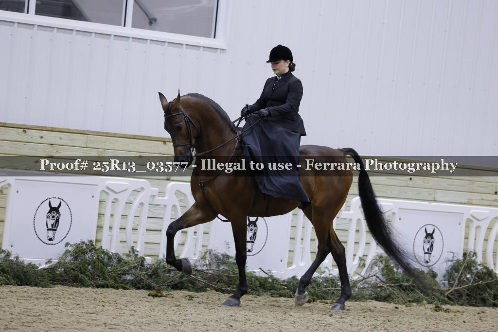 Proof 25R13_03577