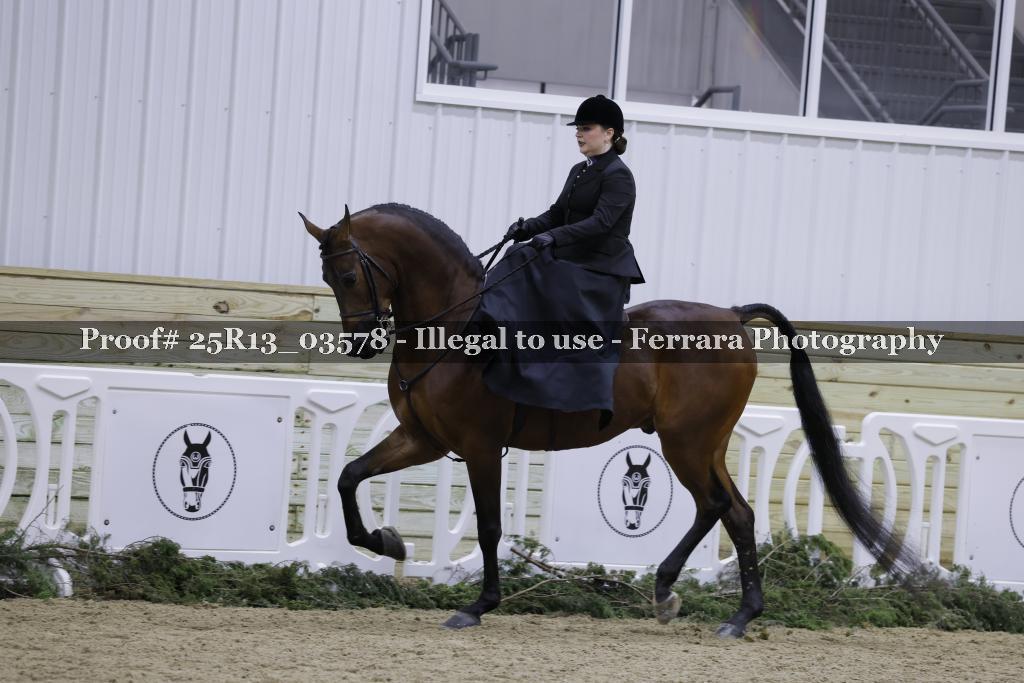Proof 25R13_03578