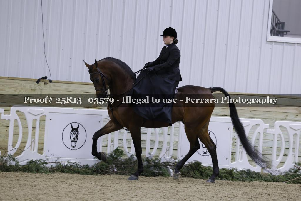 Proof 25R13_03579