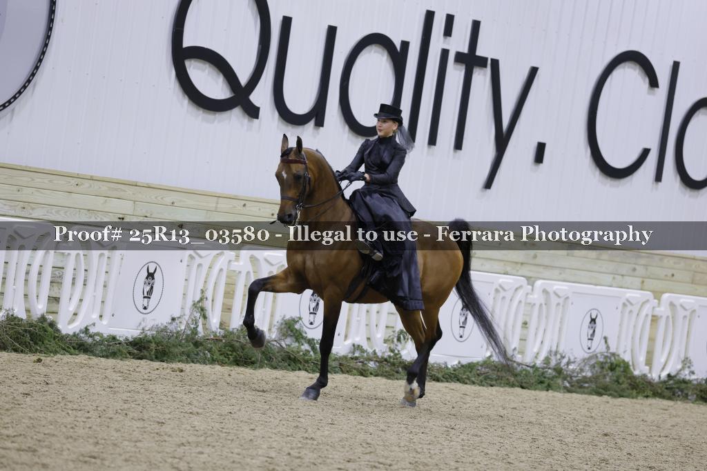 Proof 25R13_03580