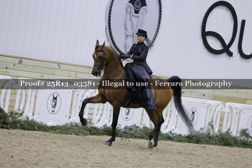 Proof 25R13_03581