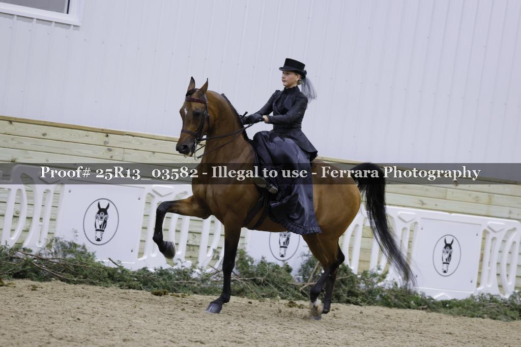 Proof 25R13_03582