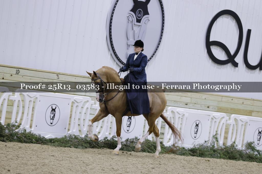 Proof 25R13_03583