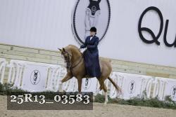 25R13_03583 proof