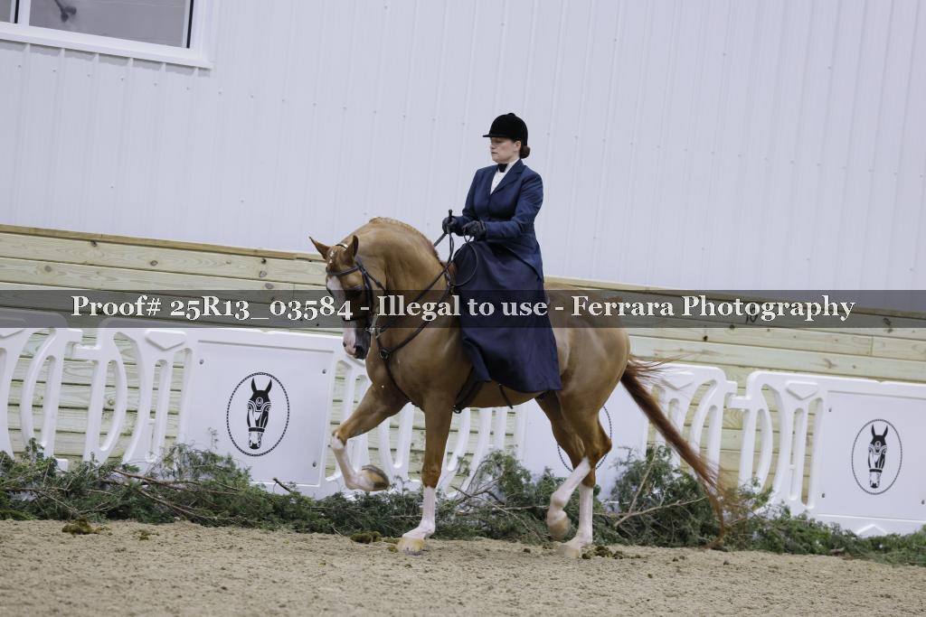 Proof 25R13_03584