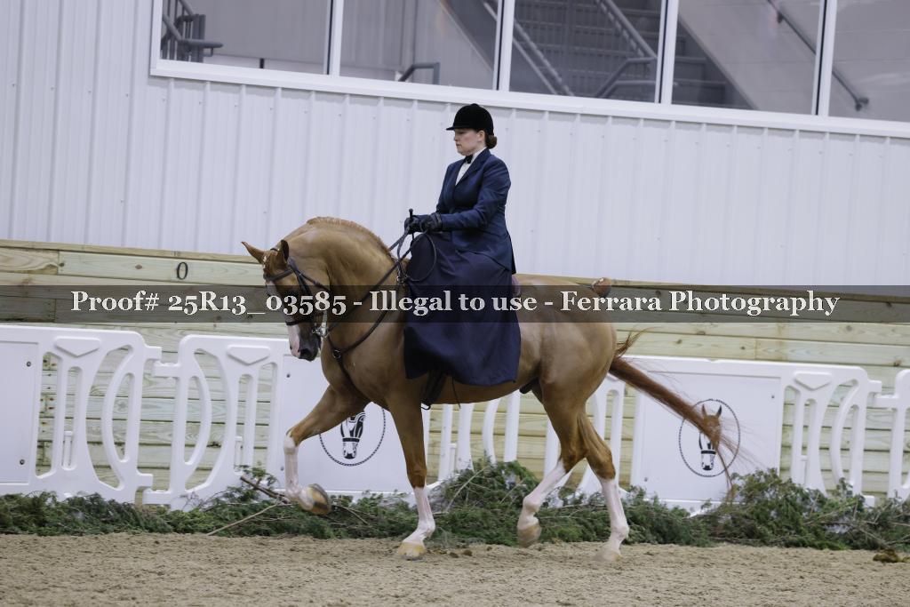 Proof 25R13_03585