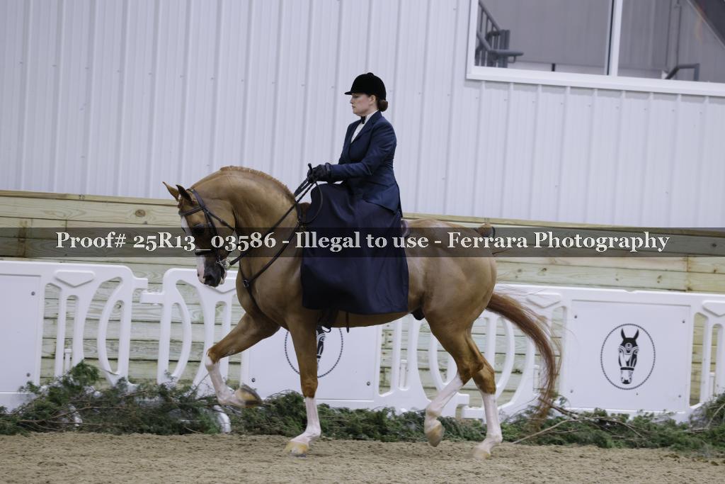 Proof 25R13_03586