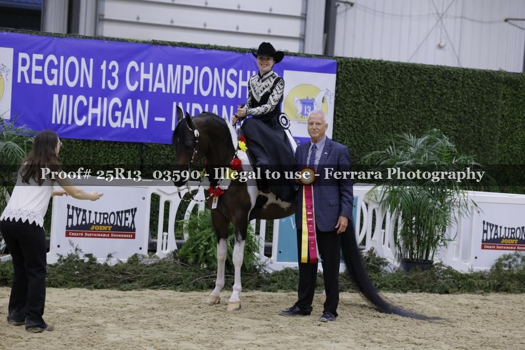 Proof 25R13_03590