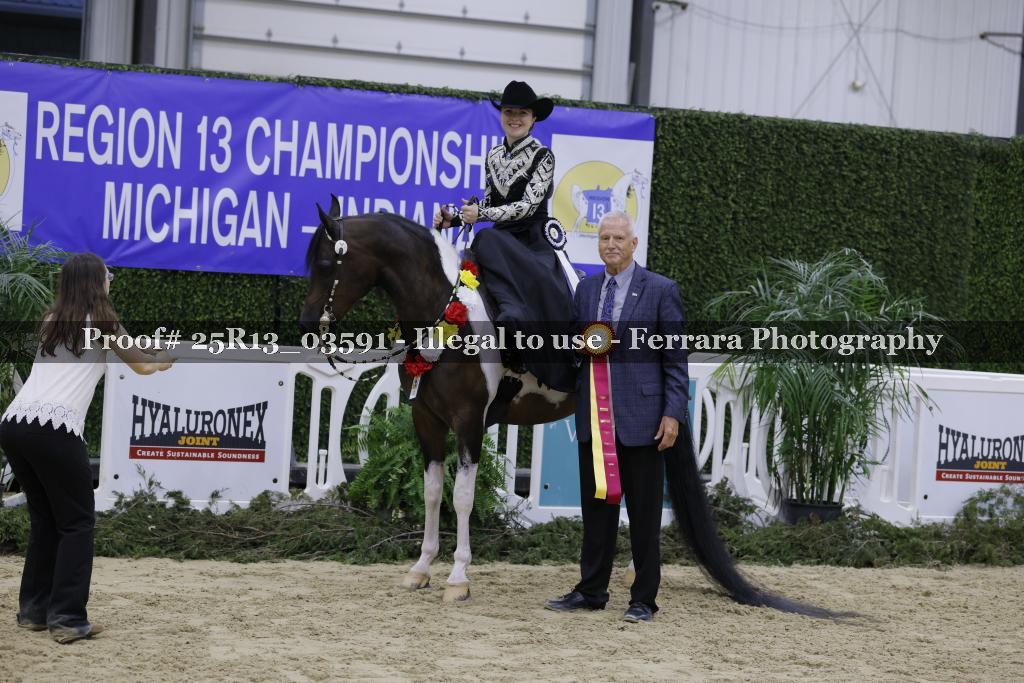 Proof 25R13_03591