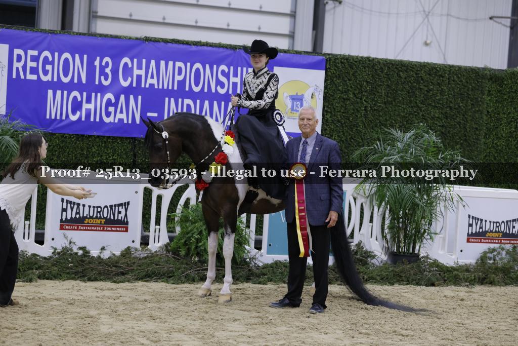 Proof 25R13_03593