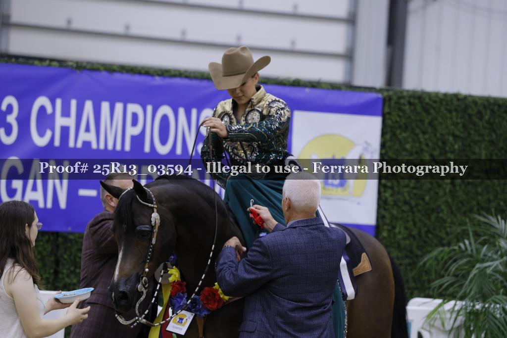 Proof 25R13_03594