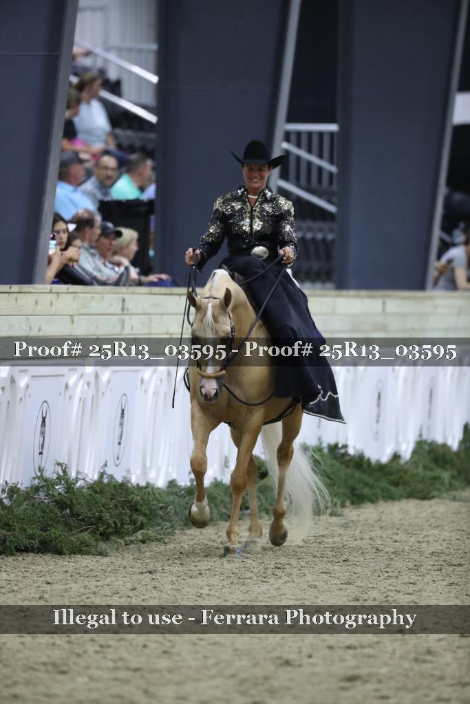 Proof 25R13_03595