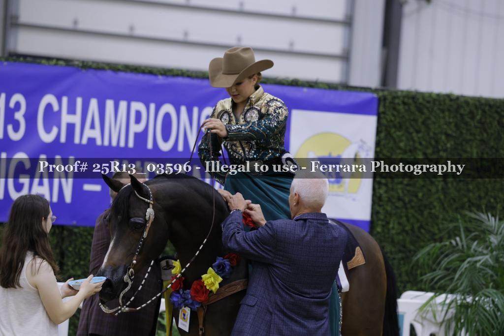 Proof 25R13_03596