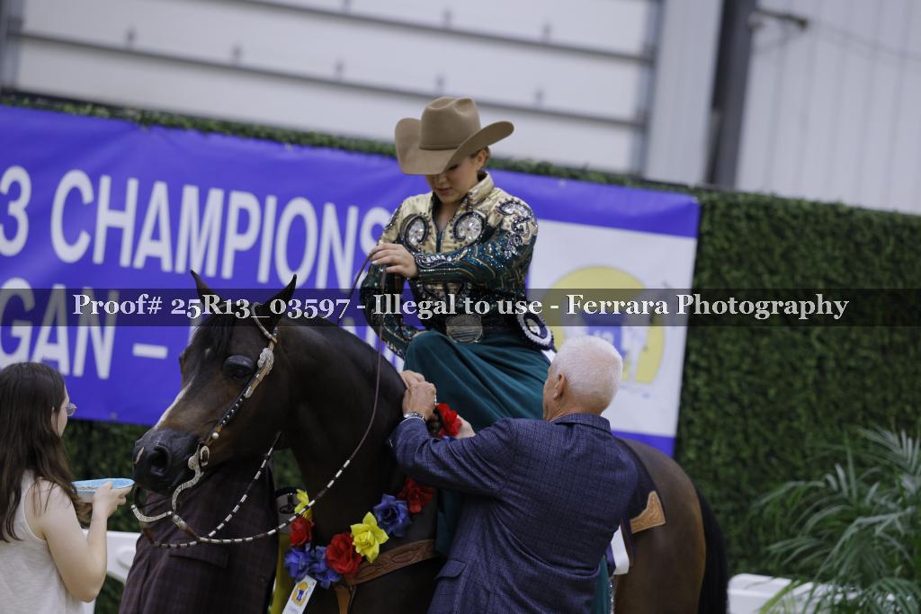 Proof 25R13_03597
