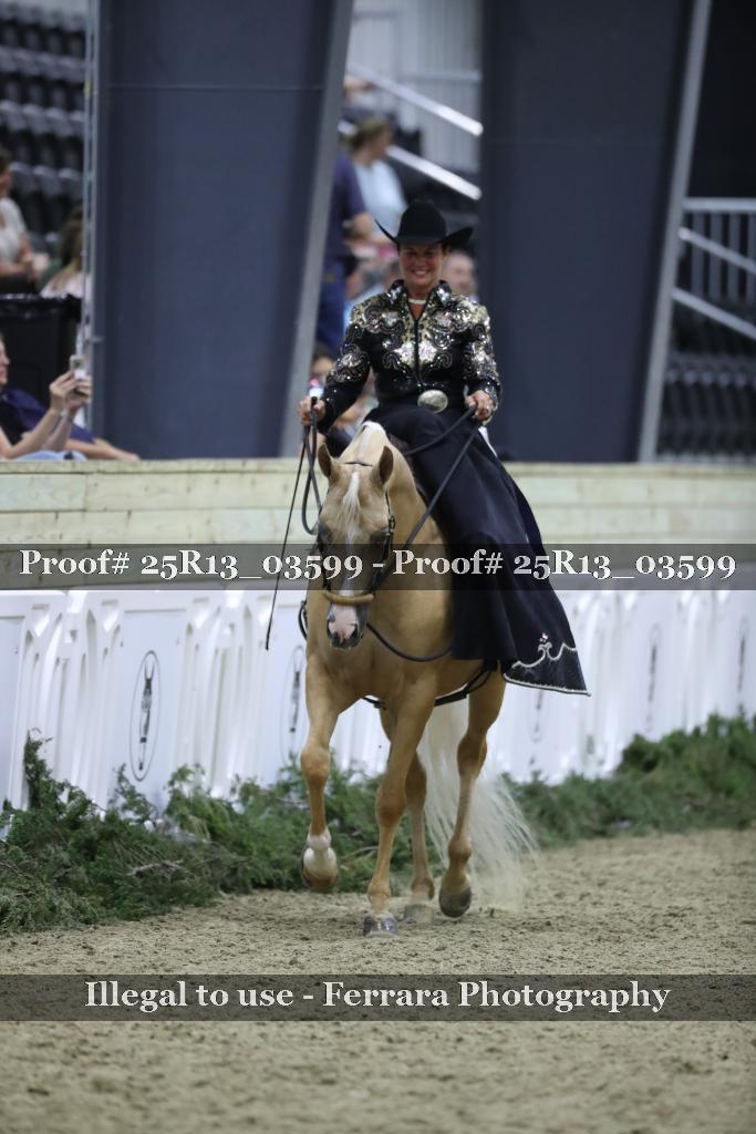 Proof 25R13_03599