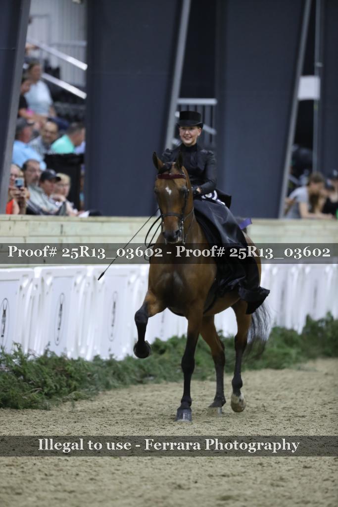 Proof 25R13_03602