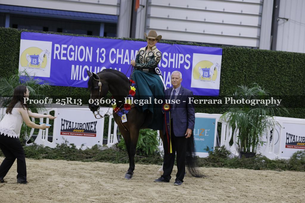 Proof 25R13_03603