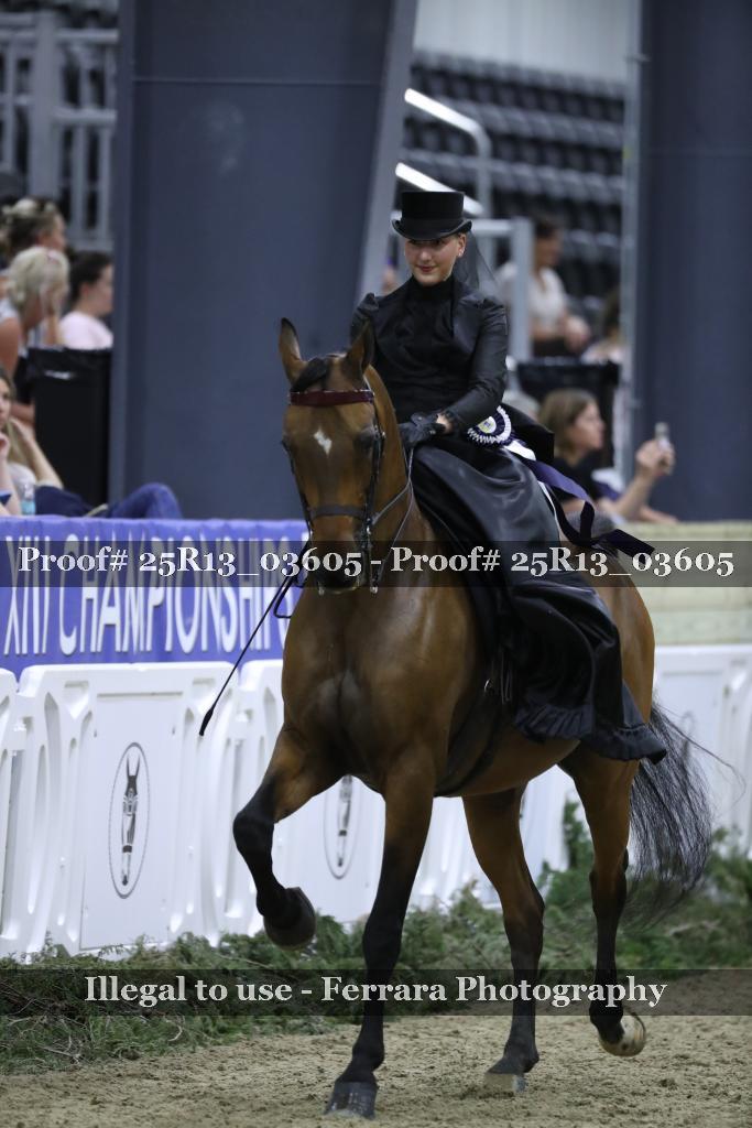 Proof 25R13_03605