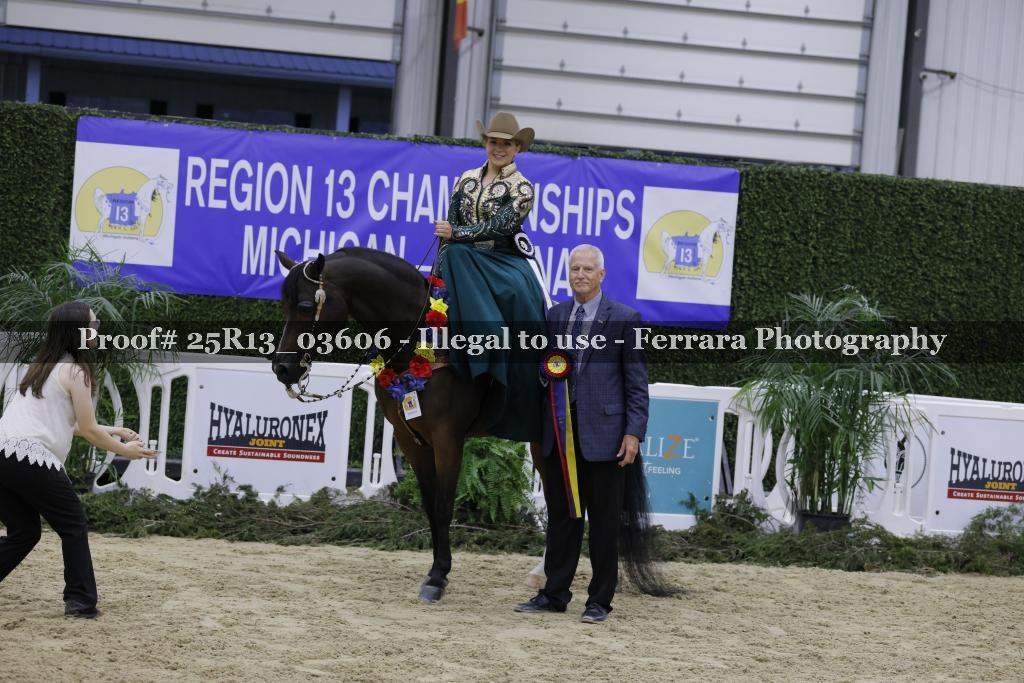 Proof 25R13_03606