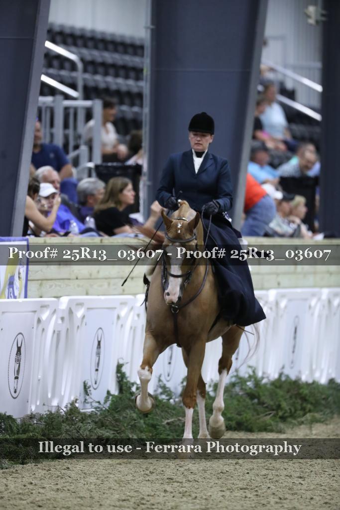 Proof 25R13_03607