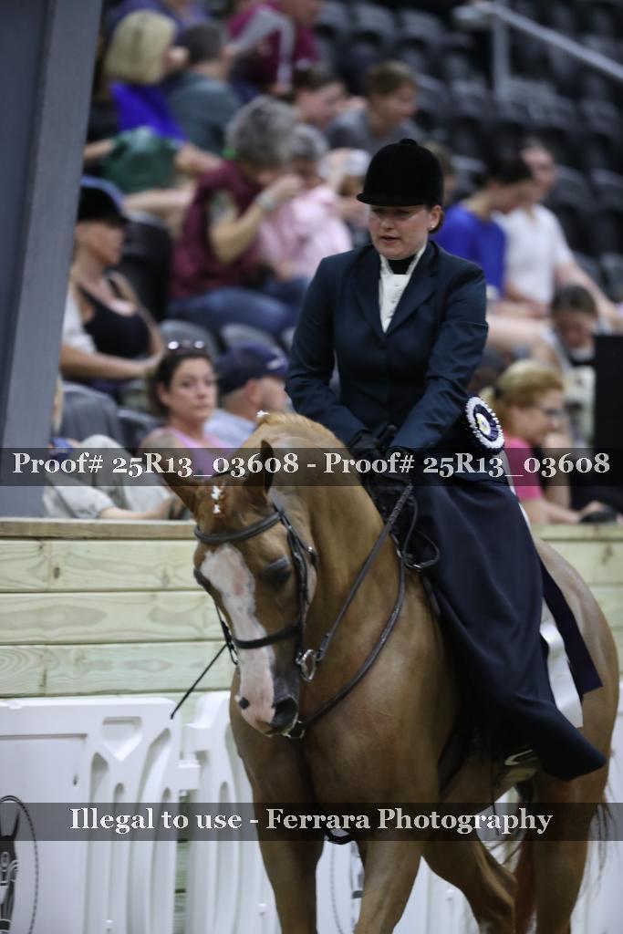 Proof 25R13_03608