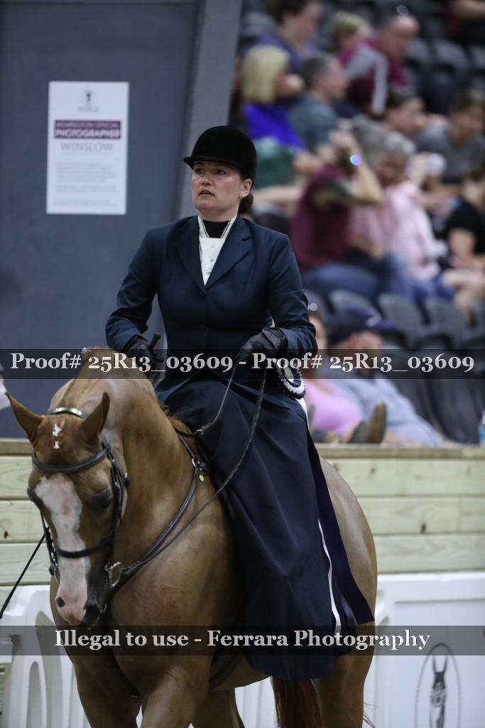 Proof 25R13_03609
