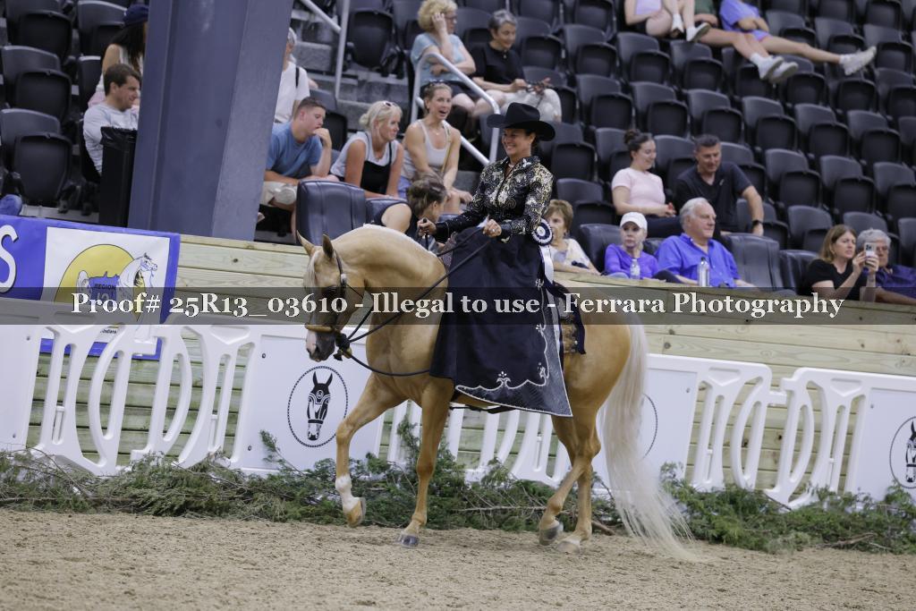 Proof 25R13_03610