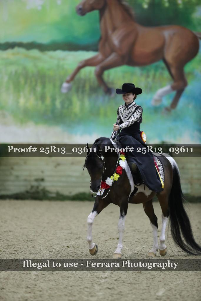 Proof 25R13_03611