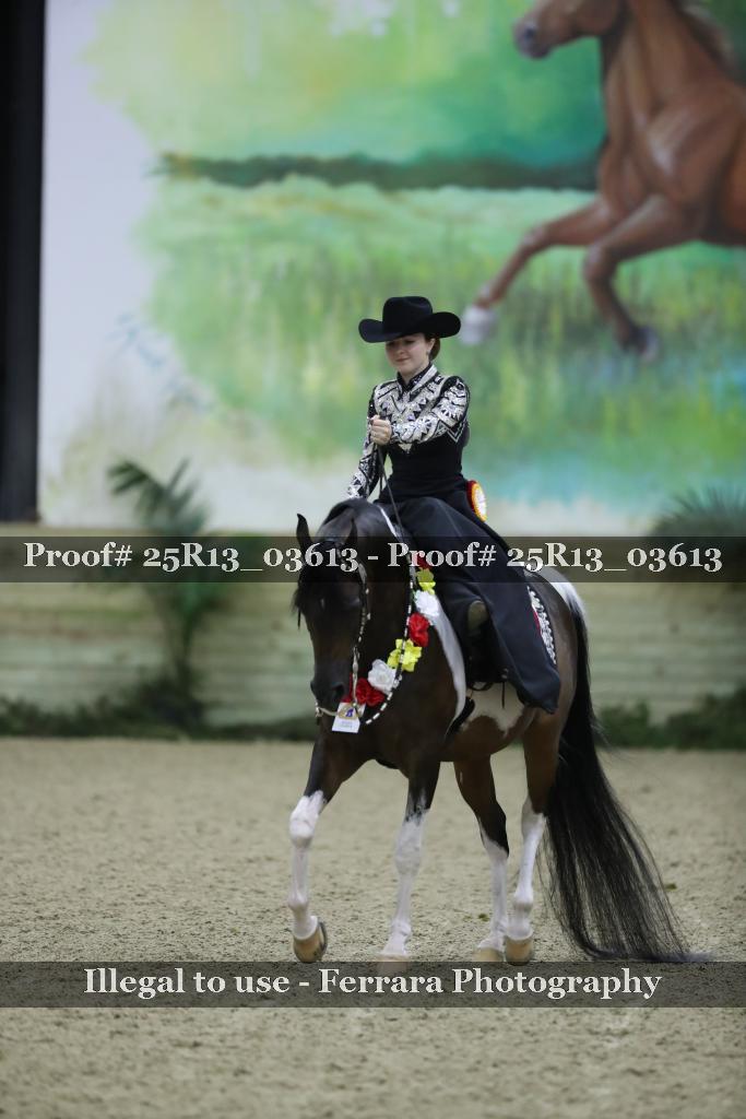 Proof 25R13_03613