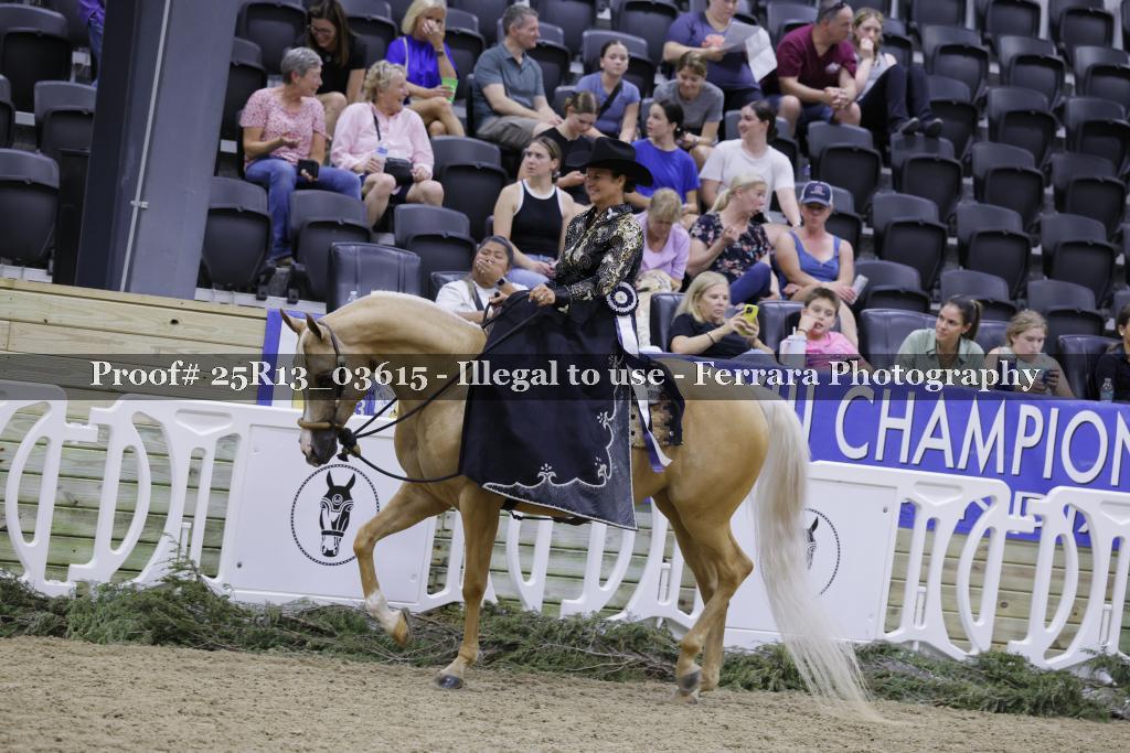 Proof 25R13_03615