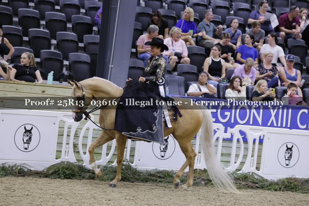 Proof 25R13_03616