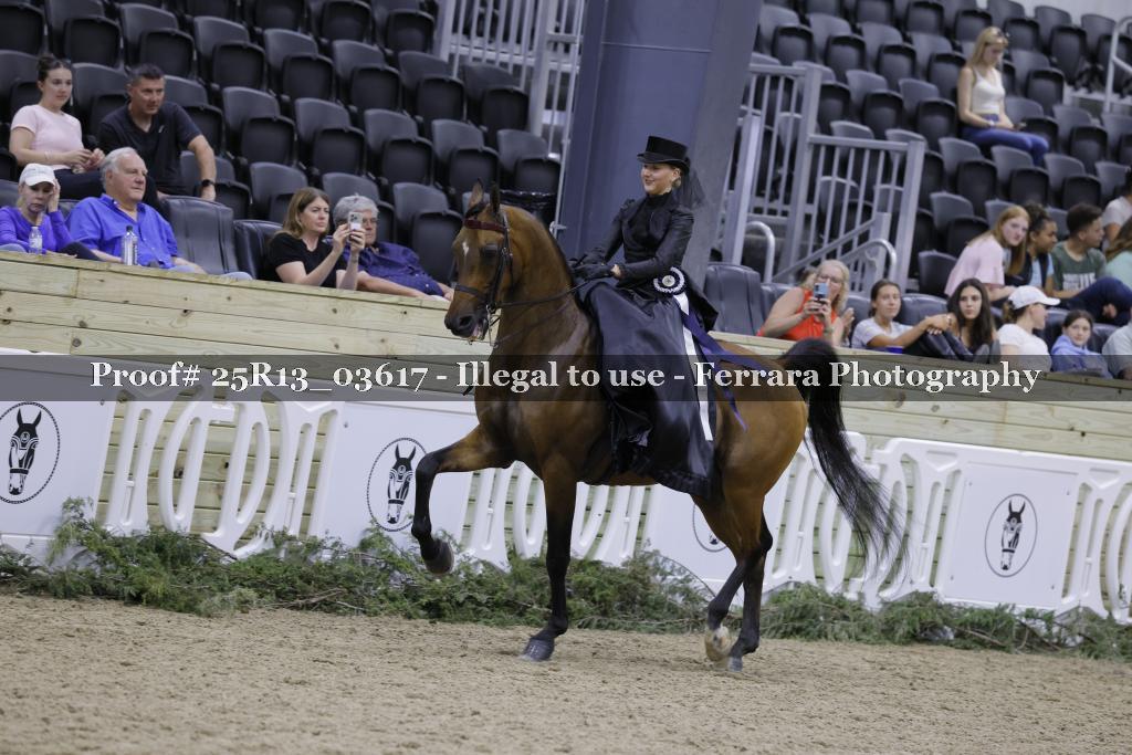 Proof 25R13_03617