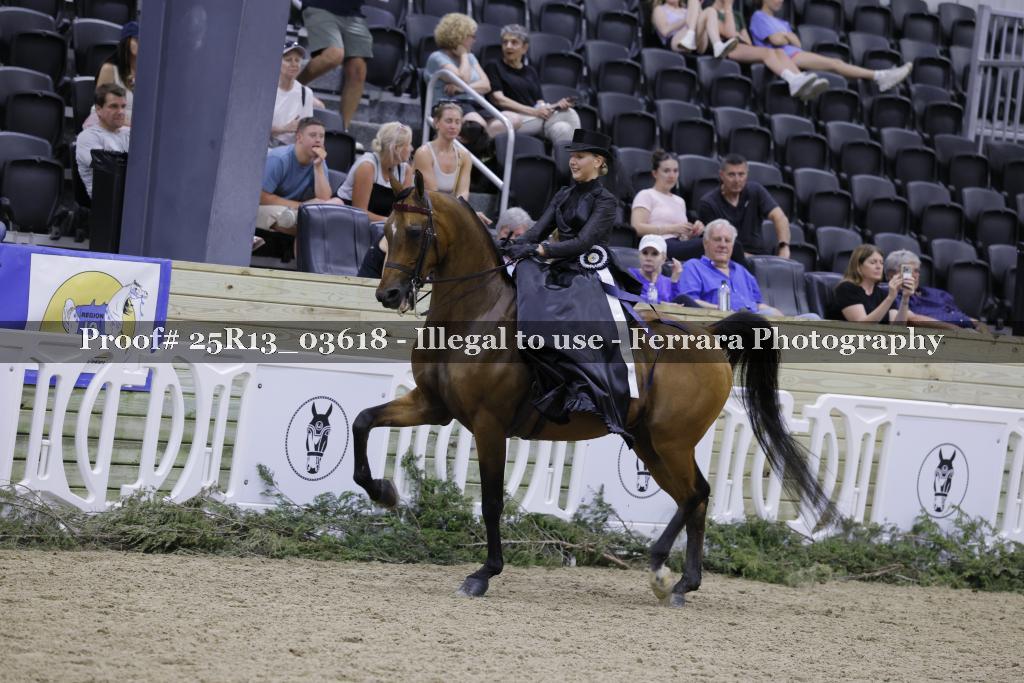 Proof 25R13_03618