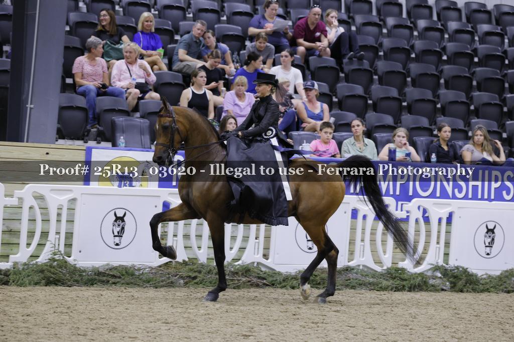 Proof 25R13_03620