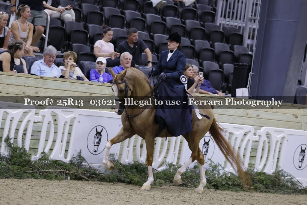 Proof 25R13_03621