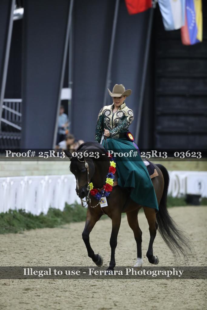 Proof 25R13_03623