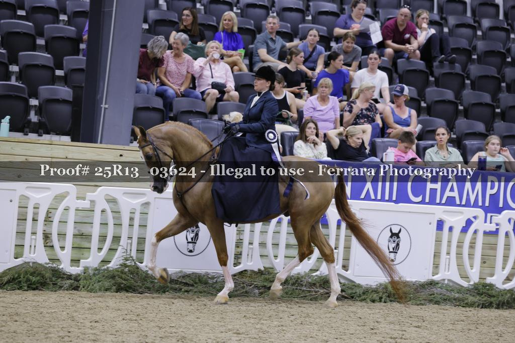 Proof 25R13_03624