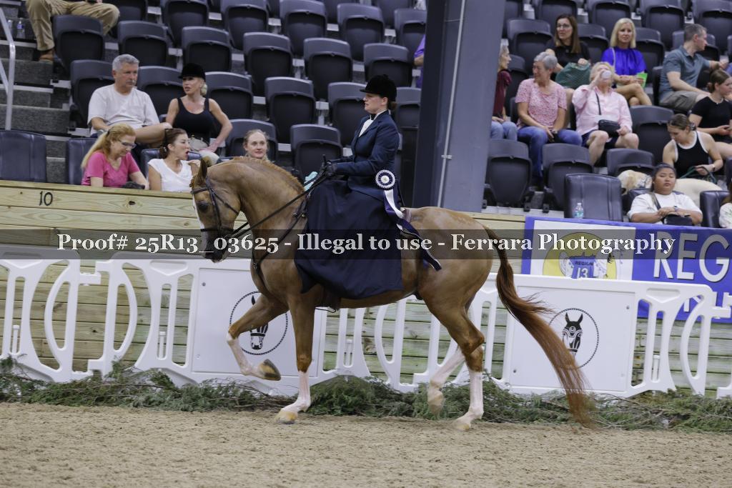 Proof 25R13_03625