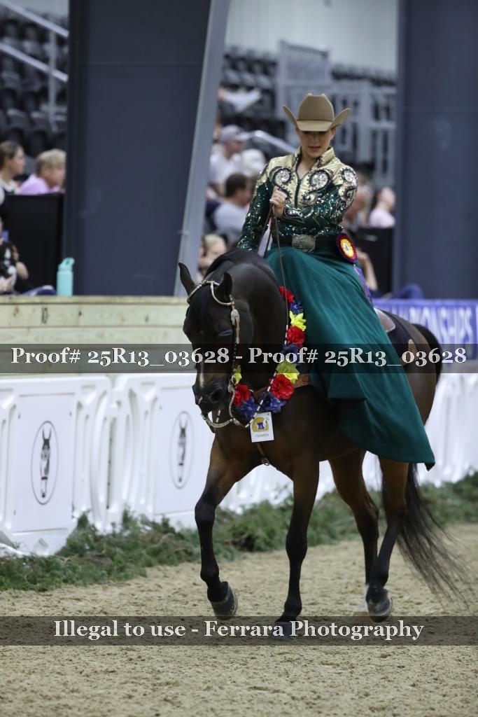 Proof 25R13_03628