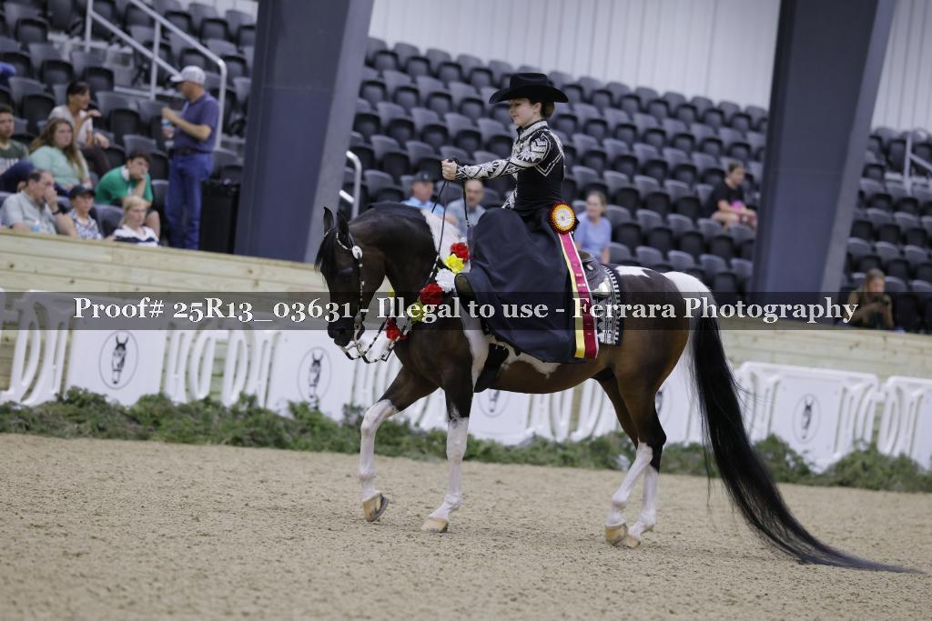 Proof 25R13_03631