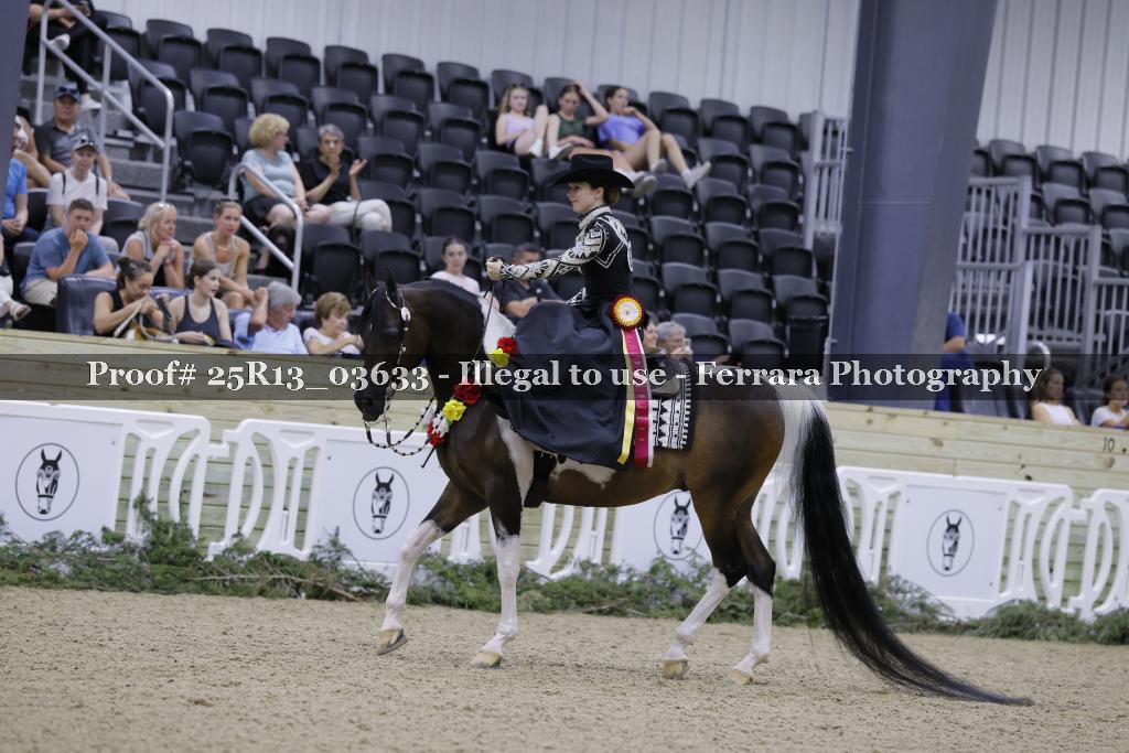 Proof 25R13_03633
