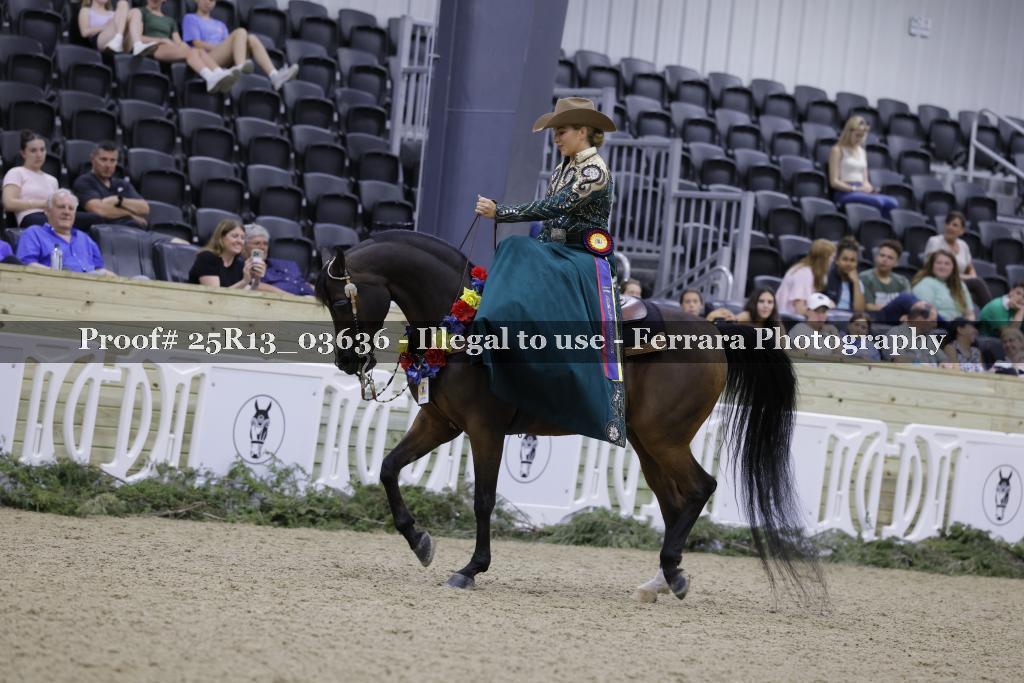 Proof 25R13_03636