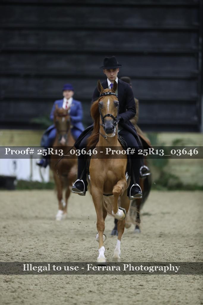 Proof 25R13_03646