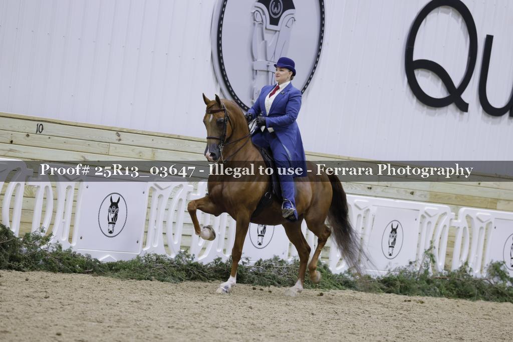 Proof 25R13_03647
