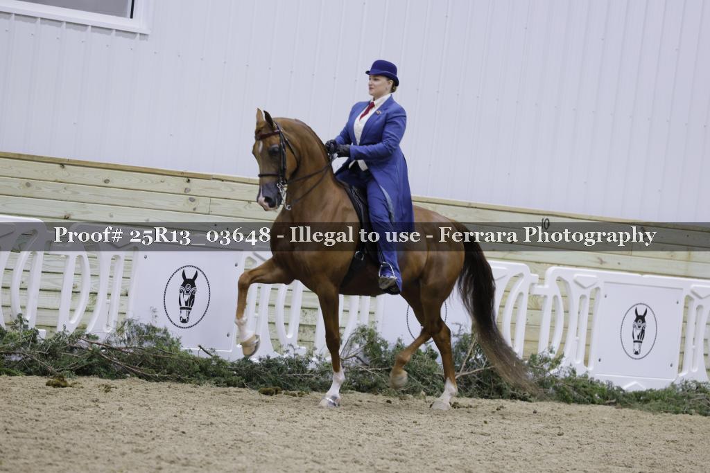 Proof 25R13_03648