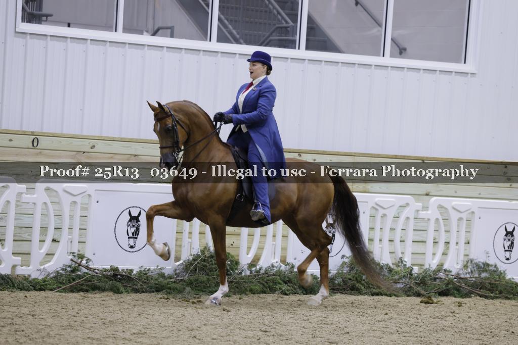 Proof 25R13_03649