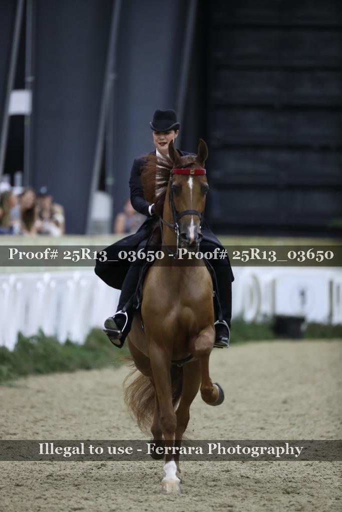 Proof 25R13_03650