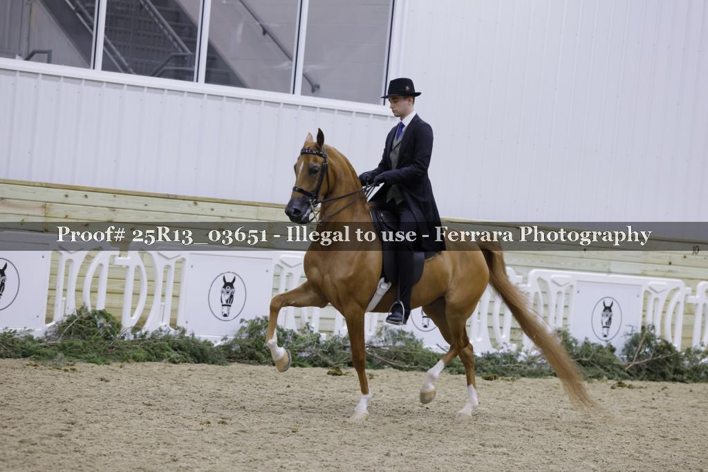 Proof 25R13_03651