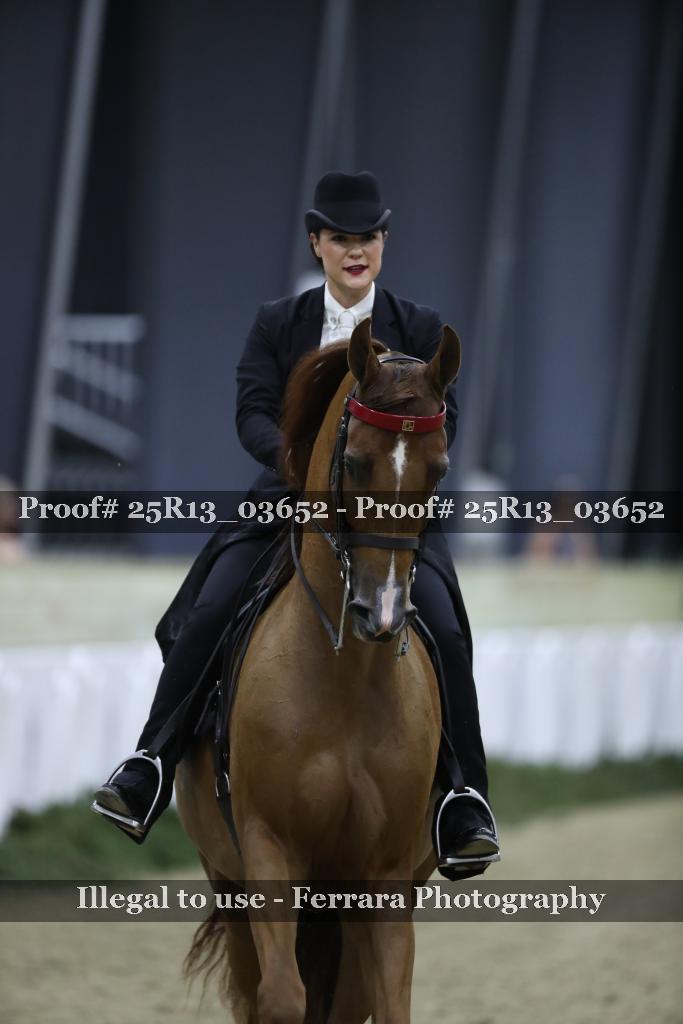 Proof 25R13_03652