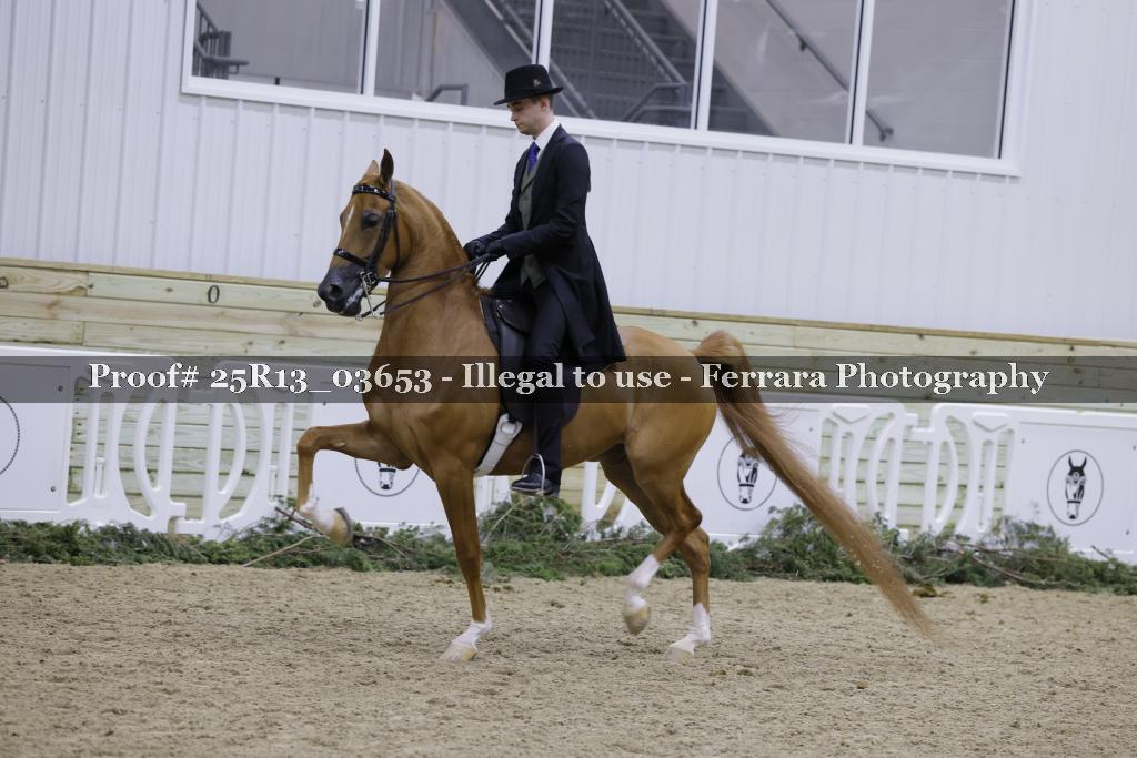 Proof 25R13_03653